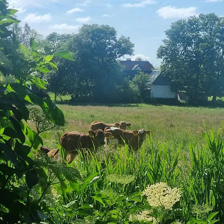 Tiny Haus Ca 1 Std Von Hamburg Entfernt Ferienhaus